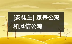 [安徒生] 家養(yǎng)公雞和風信公雞