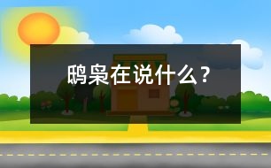 鴟梟在說什么？